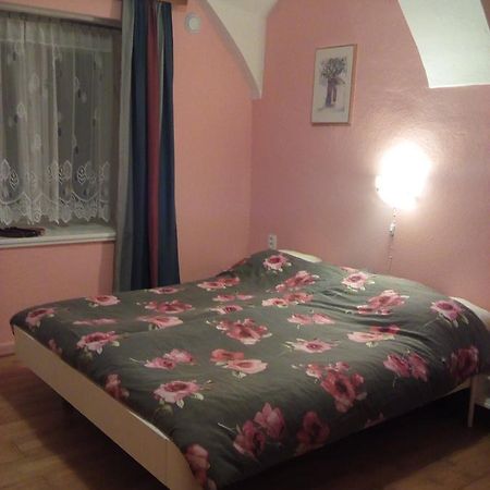 Country House U Potoka Affittacamere Božanov Esterno foto